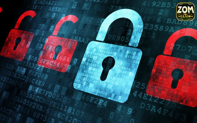 Chính sách bảo mật Zomclub về dữ liệu khách hàng